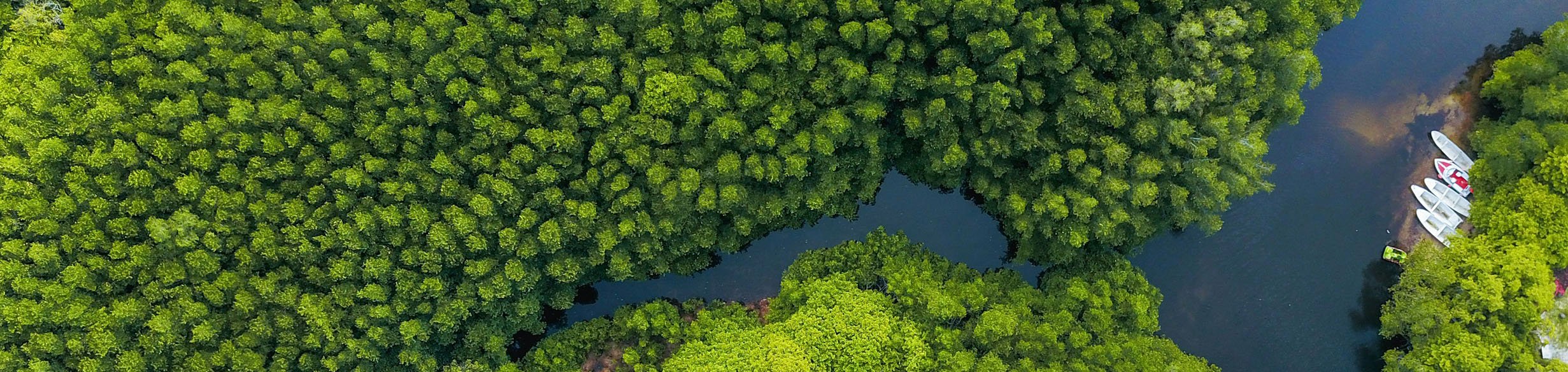 CarbonNeutral_Hero_Desktop